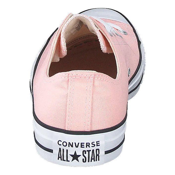 Chuck Taylor All Star Ox Storm Pink