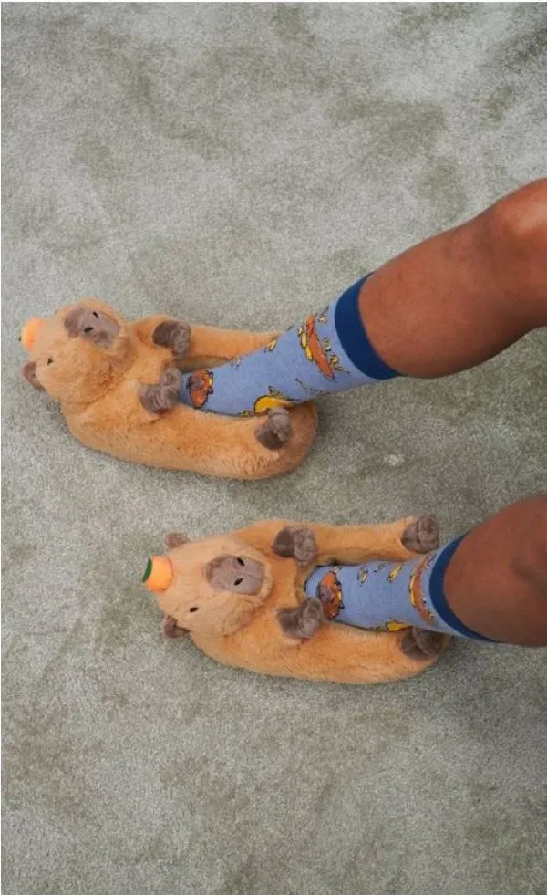 Slippers - Capybara